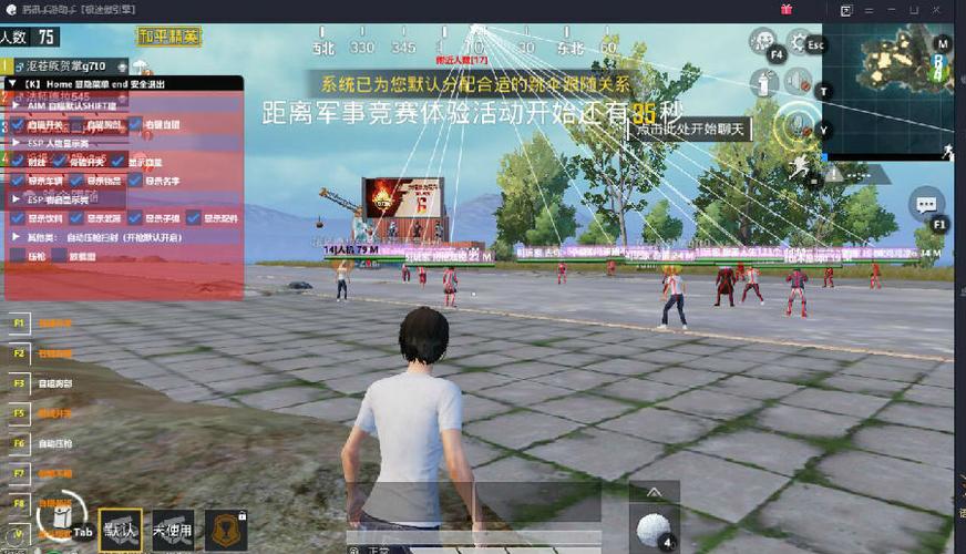 和平精英《诛仙》辅助